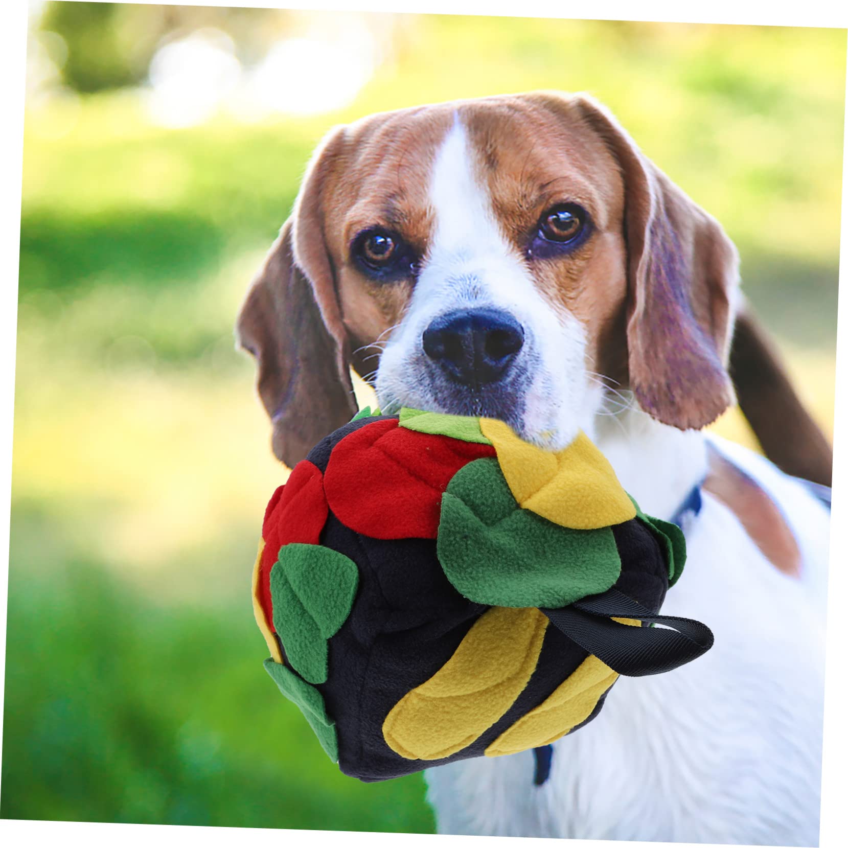 Beavorty 3stücke Schnüffelball Für Hunde Interaktives Futterspielzeug Nasenarbeit Und Spielspaß Komfortabel Und Atmungsaktiv Für Fütterung Und Beschäftigung Von Haustieren