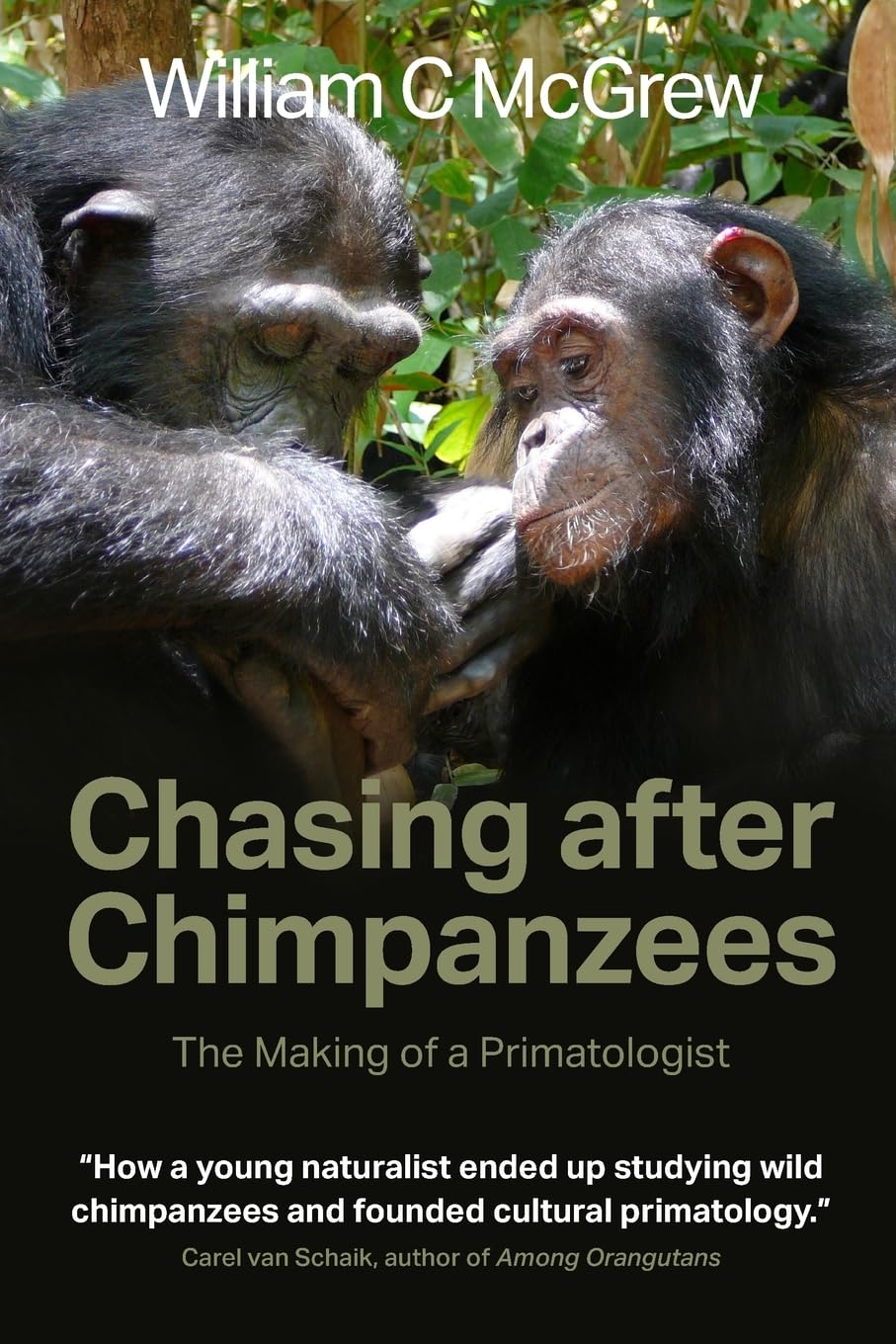 Chasing after Chimpanzees: The Making of a Primatologist: 4 (Wild at Heart: True Stories of Animal Rescue & Veterinary Adventures)