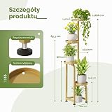 Bamworld Wysoki stojak na rośliny do wnętrz i na zewnątrz Narożny metalowy stojak na doniczki dla wielu roślin Wytrzymały regał na rośliny do tarasu ogrodu balkonu salonu sypialni（4-poziomowy,Złoty）
