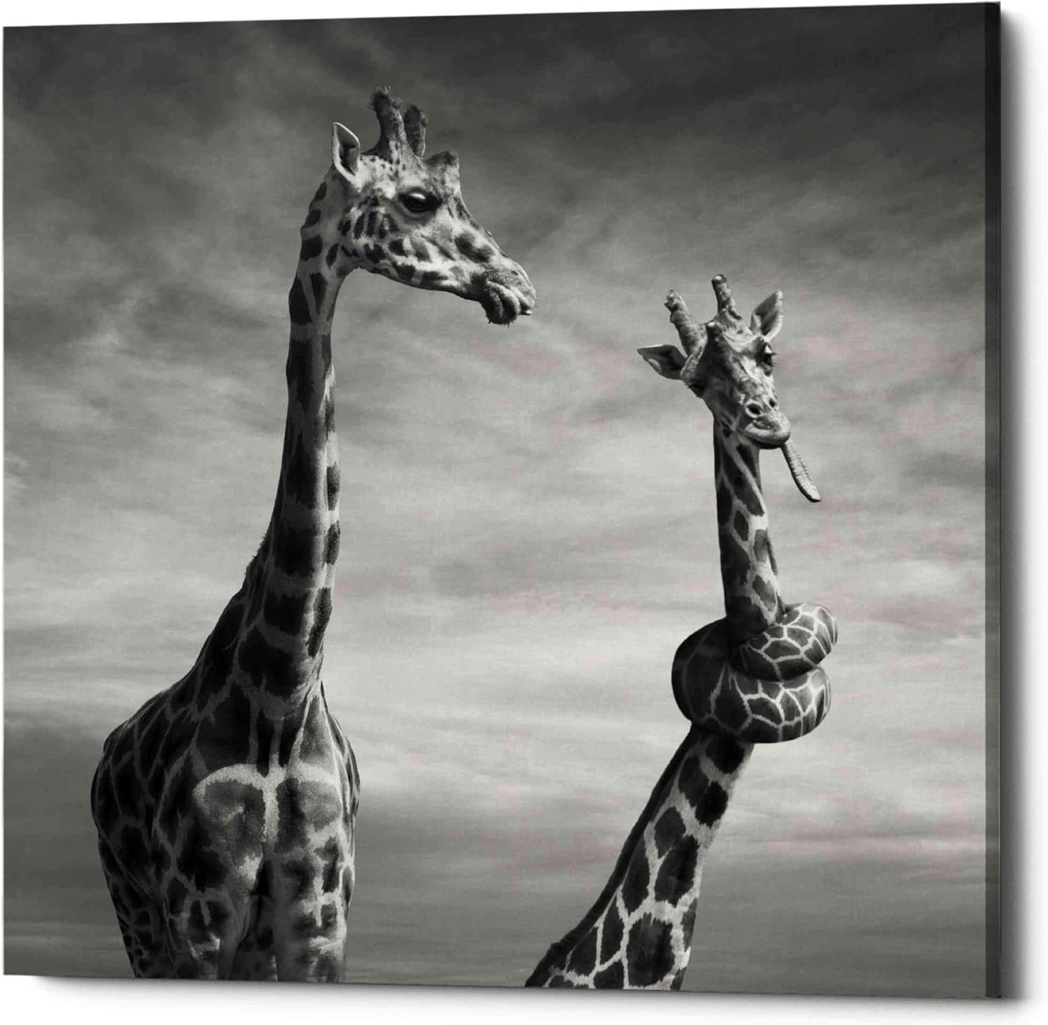 Epic Graffiti 'Twisted Sister' by Dariusz Klimczak, Canvas Wall Art, 18"x18"