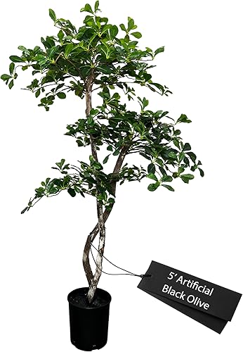 Miniatura 10 de Árbol artificial de hoja de olivo negro italiano hecho a mano de 4 pies  Decoración del hogar para sala de estar y oficina  Tacto real  Planta