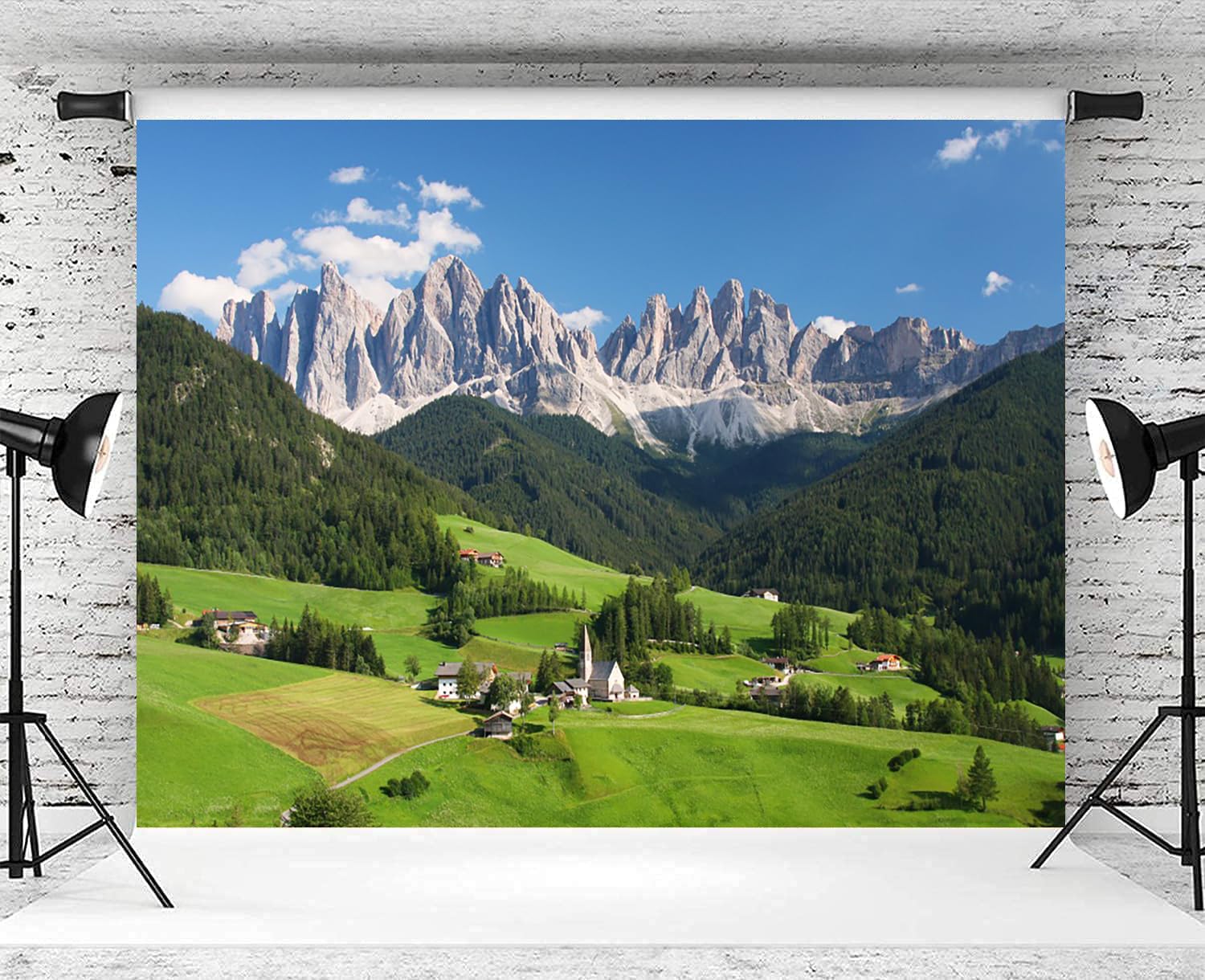 European Landscape Photography Renaiss 8x10ft Alps Mountains ...