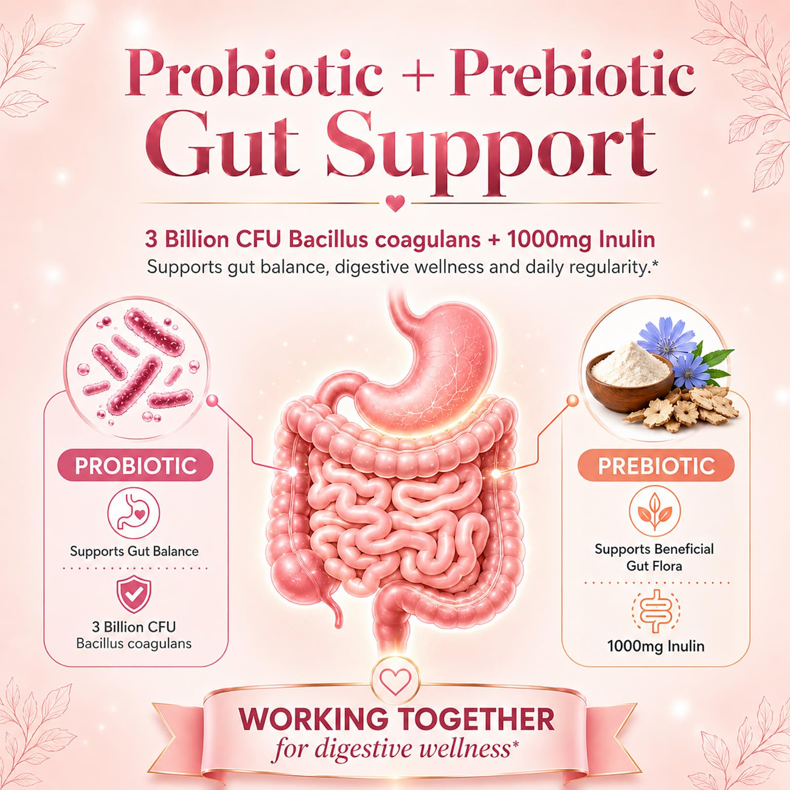 Probiotics for Women Gummies, Debloat Gummies with Prebiotic Fiber Supplement & Apple Cider Vinegar for Gut Health, Vitamin C & Biotin for Skin & Hair Support, Mixed Berry, 60 Count — Amazon image 3