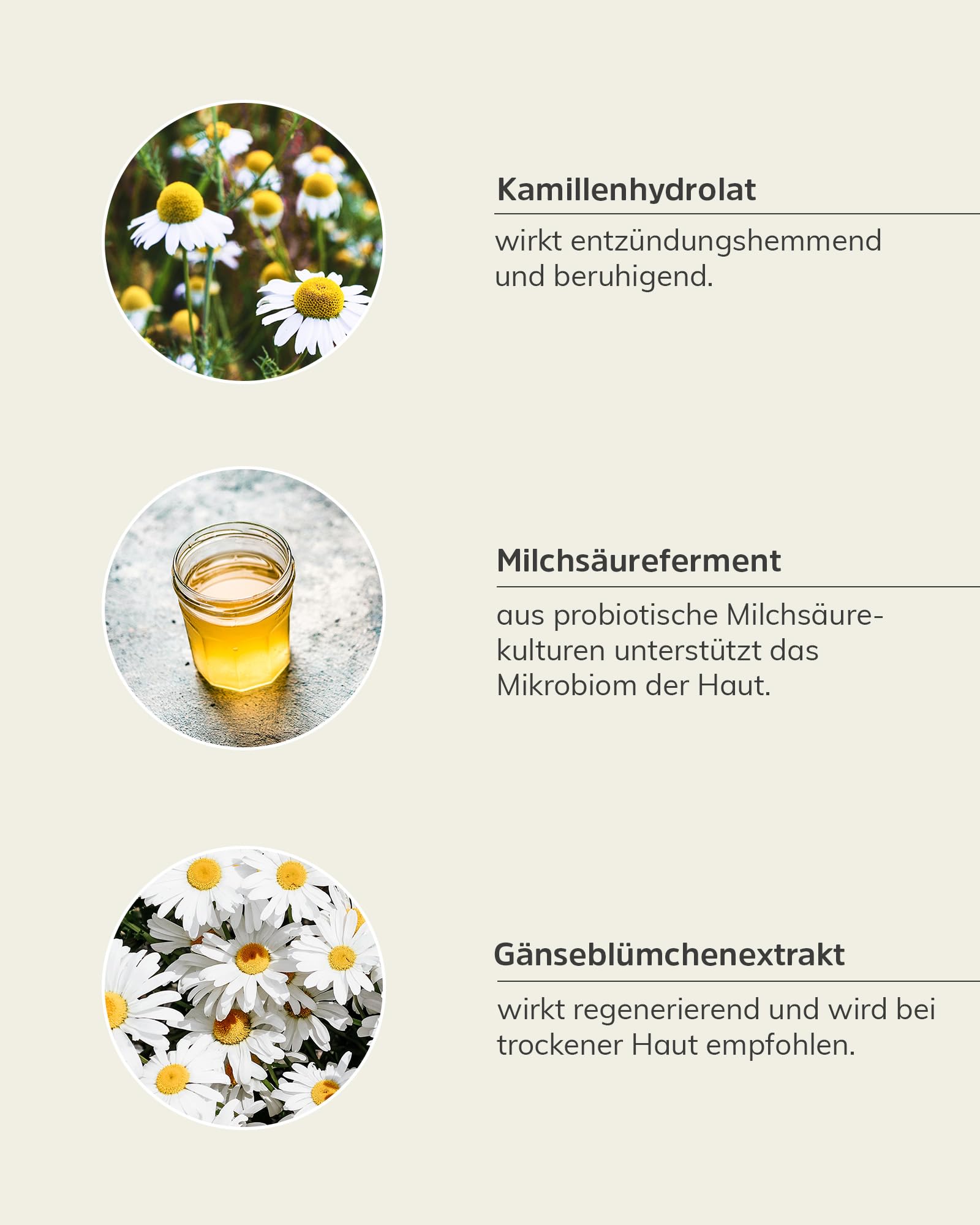 nkm Naturkosmetik München Concentrato probiotico – 100 ml – Concentrato viso con camomilla – Forte barriera cutanea – Vegano – Per tutti i tipi di pelle – Dermatologicamente testato