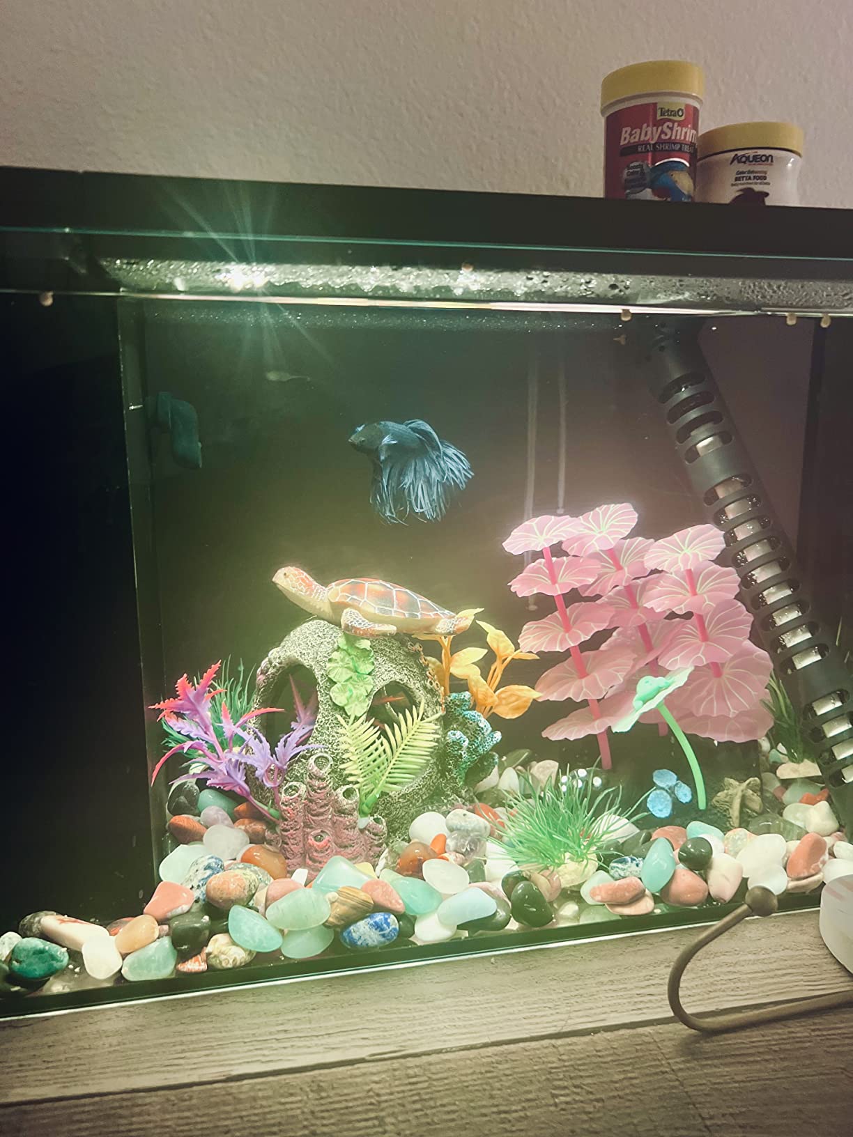 17/mo Finance ERAARK Aquarium kit Betta Fish Tank self Cleaning