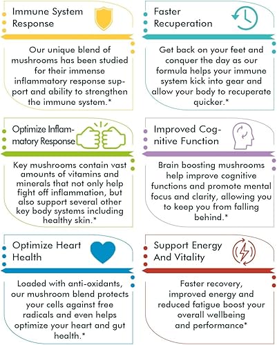Miniatura 4 de Complejo de hongos inmunitarios - Reishi, melena de león, chaga, cordyceps, cola de pavo, Shitaake - Apoyo al sistema inmunológico, respuesta