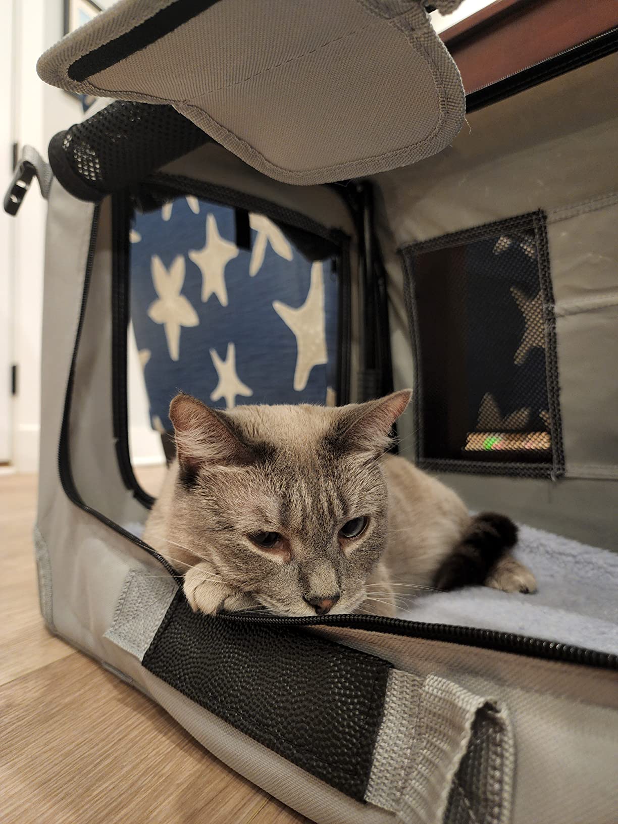 13/mo Finance Petseek Extra Large Cat Carrier Soft Sided Folding