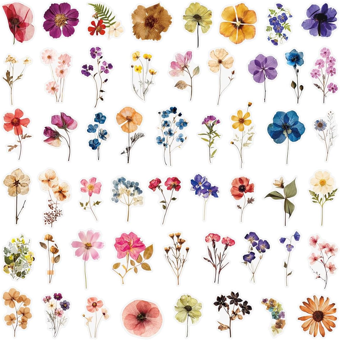 200Pcs Pressed Flower Stickers, Waterproof Transparent Vintage Dry Leaf Floral Decals, Multi-Tone Preserved Bloom Stickers for Scrapbook Journaling, Water Bottle Laptop Luggage Decor for Teens Adults