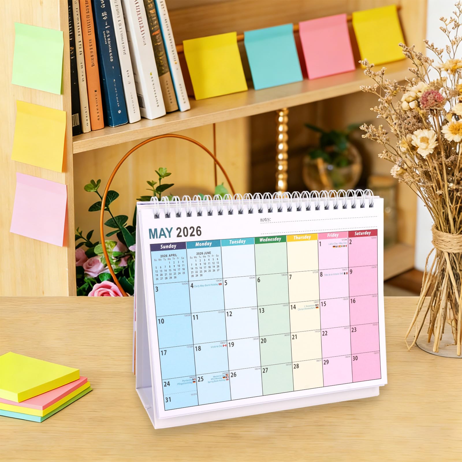 View 7