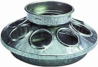 Little Giant Baby Chick Feeder Base - Galvanized Steel 1 Quart Jar Compatible, 8-Hole Safe Design for Chicks