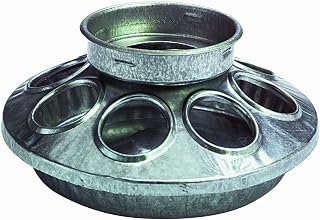 Little Giant Baby Chick Feeder Base - Galvanized Steel 1 Quart Jar Compatible, 8-Hole Safe Design for Chicks