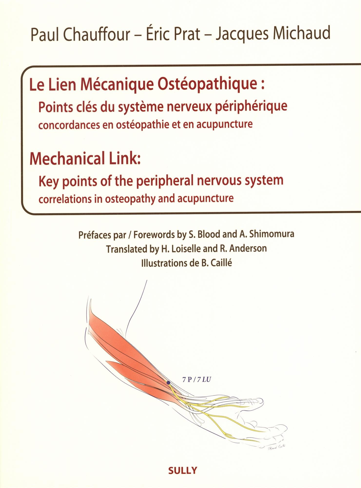Le lien mécanique ostéopathique : Points clés du système nerveux périphérique: Concordances en ostéopathie et en acupuncture