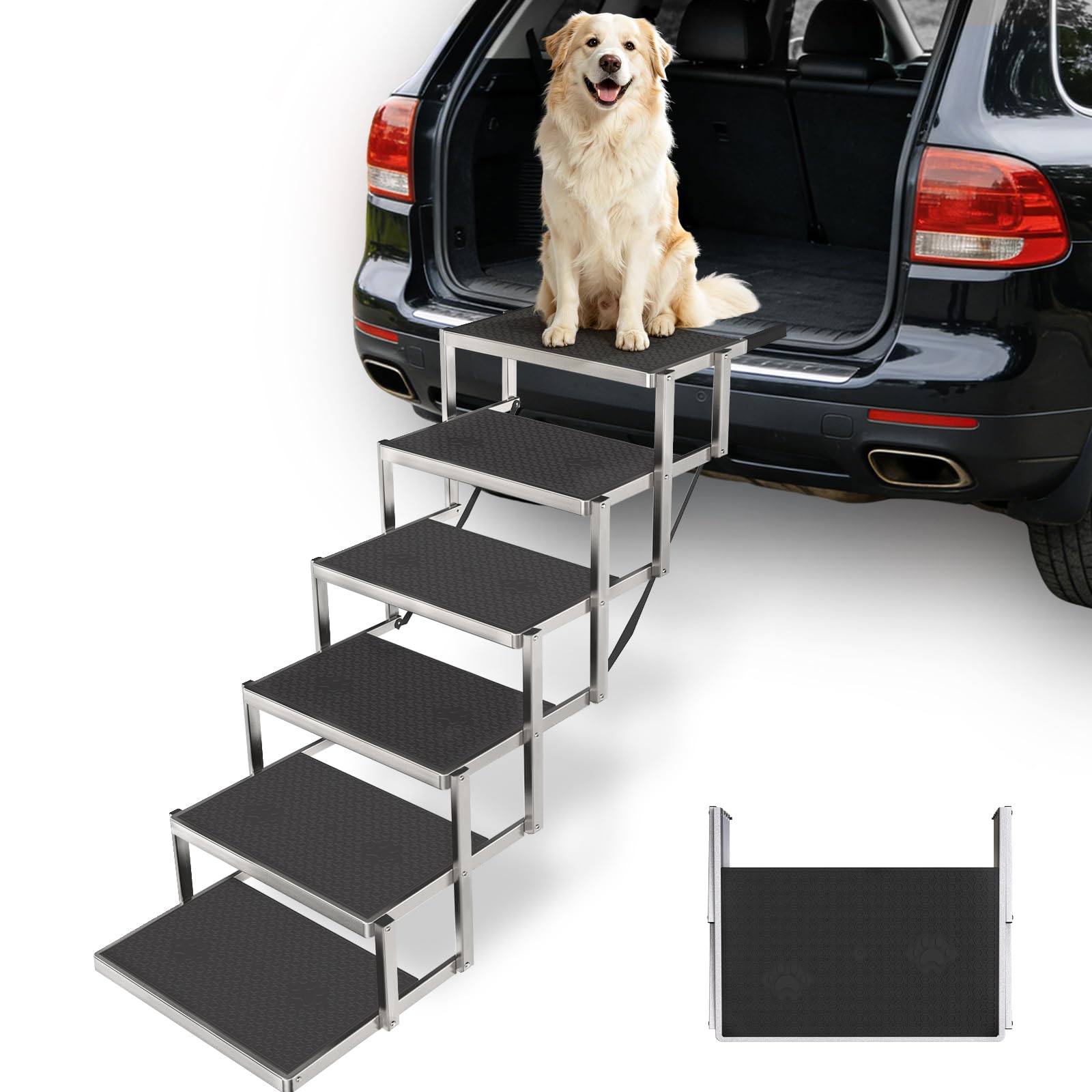 SRAIRS para perros en 6 pasos
