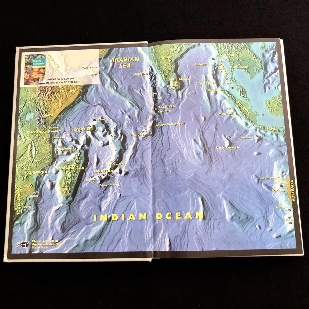インド洋 サンゴ礁域 魚類図鑑「Indian Ocean Reef Guide」 Amazon.co.jp: インド洋 サンゴ礁域 魚類図鑑「Indian Ocean