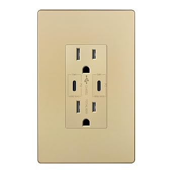 LIDER USB-C PD 60W Wall Outlet, Tamper-Resistant Receptacle with 2 Type-C Ports, Power Delivery, GaN Technology, Interchangeable Face Cover, Wall Plate Included, UL Listed, Thermoplastic, Matte Gold