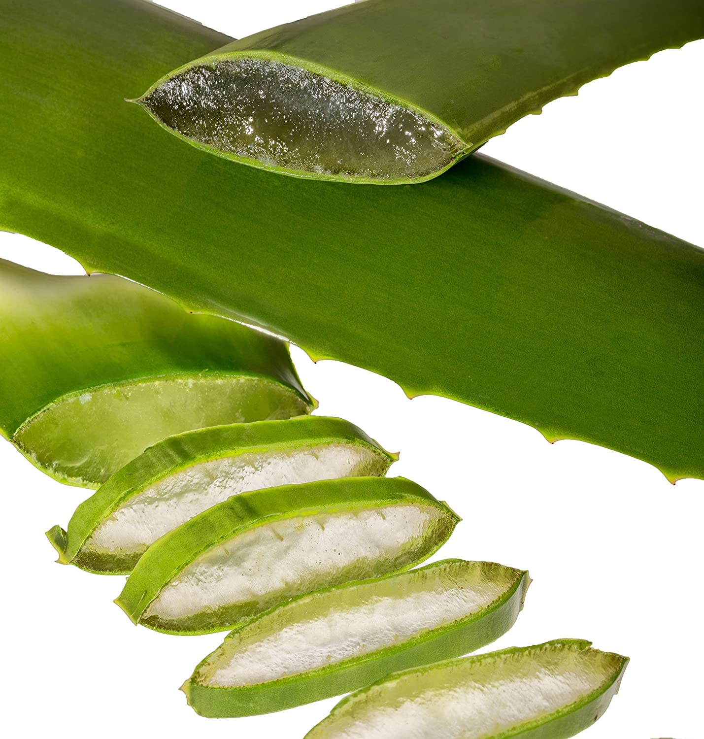 aloe vera personal lubricant Aloe Vera Water Based Lubricant by Exsens® main image 0