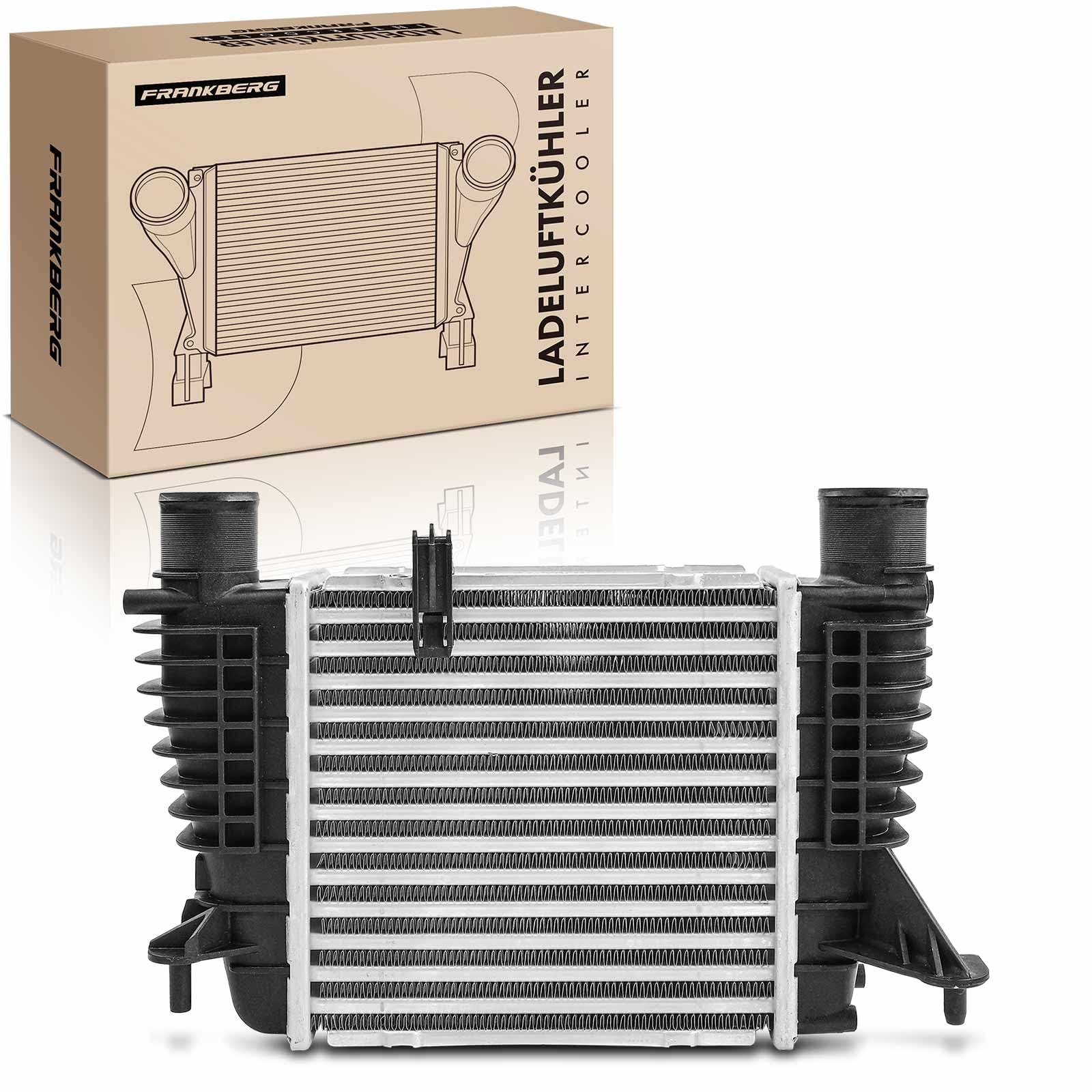 Frankberg Intercooler 8200471888 | Compatible avec: Clio III boîte/hayon SB SR, Autobus NV200/Evalia, Cube Z12, Boîte NV200, Mode/Grand Mode F/JP0