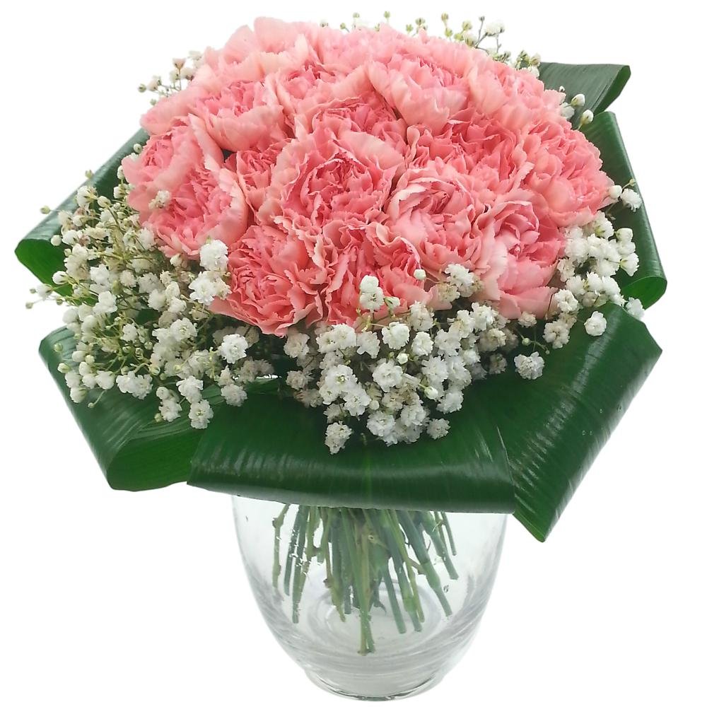 Clare Florist Green,White,Pink 2 Dozen Pink Carnations Fresh Flower Bouquet - Stunning Collection Of Pink Floral Tones To Brighten Your Home