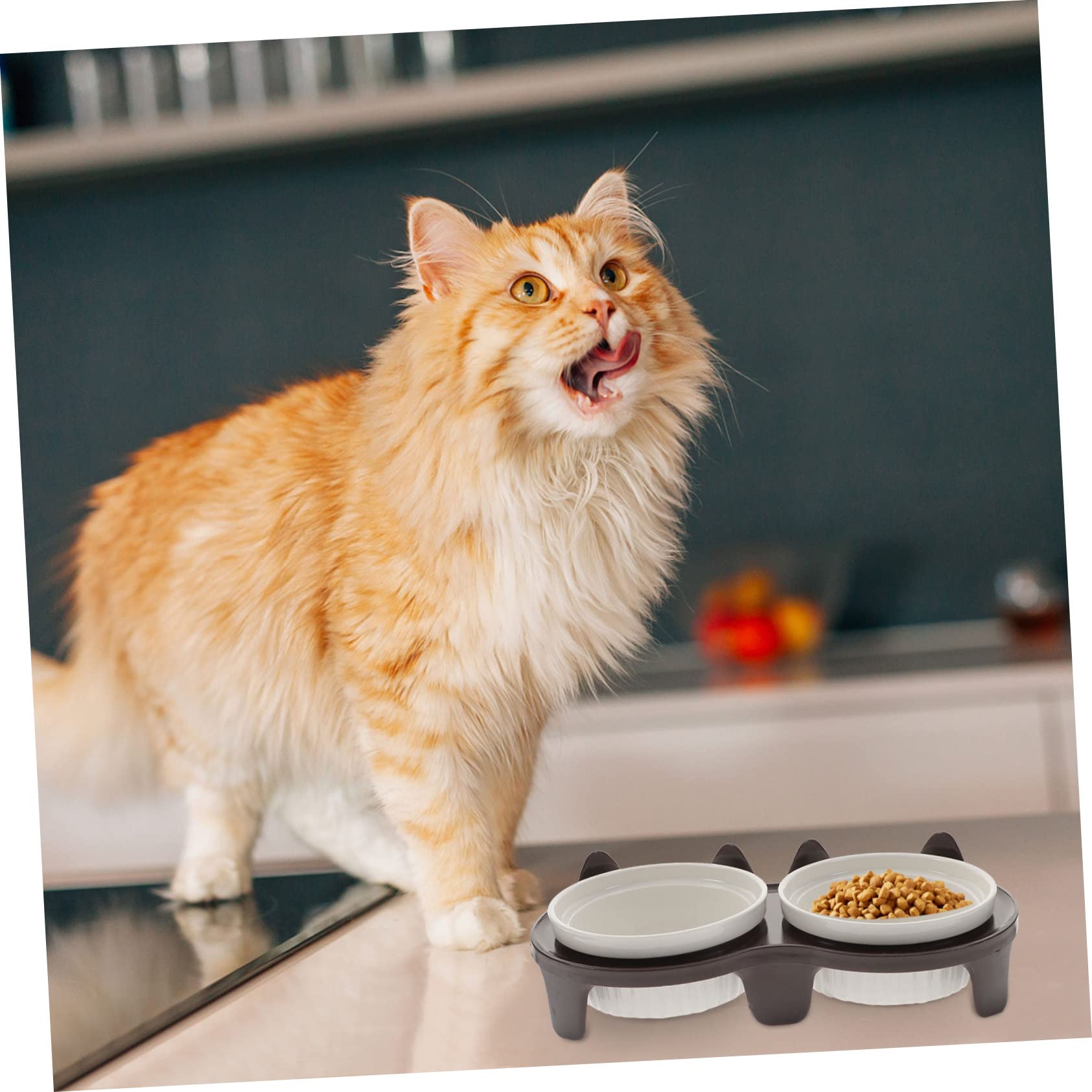 Gamelle Chat Surélevée et Inclinée en Céramique, Lot de 1 Set de Set