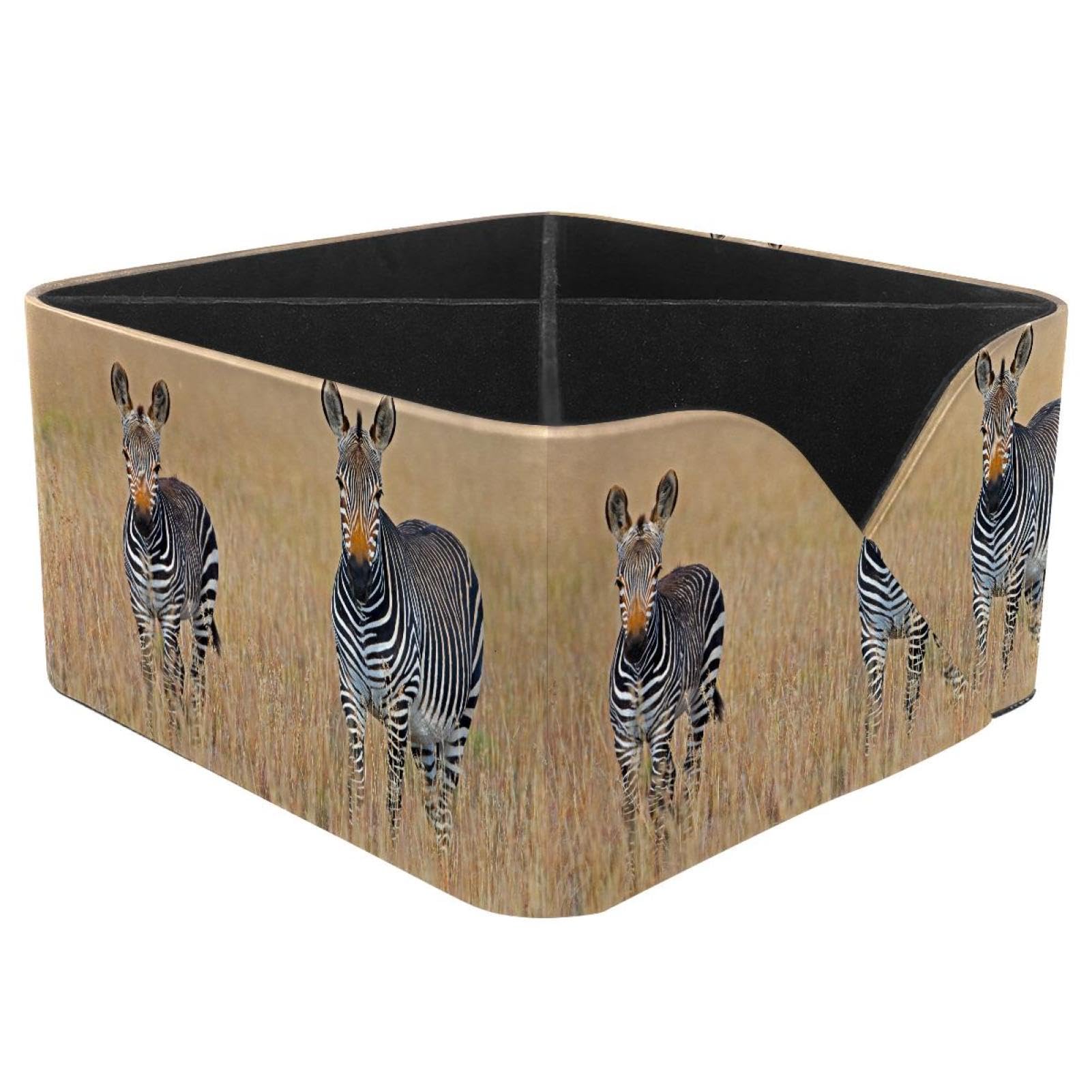 KengjuTesu Zebra Squared Desktop Organizer Pen Holder, Rectangular Pencil Cup for Office, Study and Makeup Stations