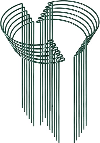 Miniatura 10 de HiGift - Juego de 6 estacas de plantas de 24 pulgadas, jaulas y soporte de medio anillo de 10 pulgadas de ancho x 24 pulgadas de alto de peonía 6