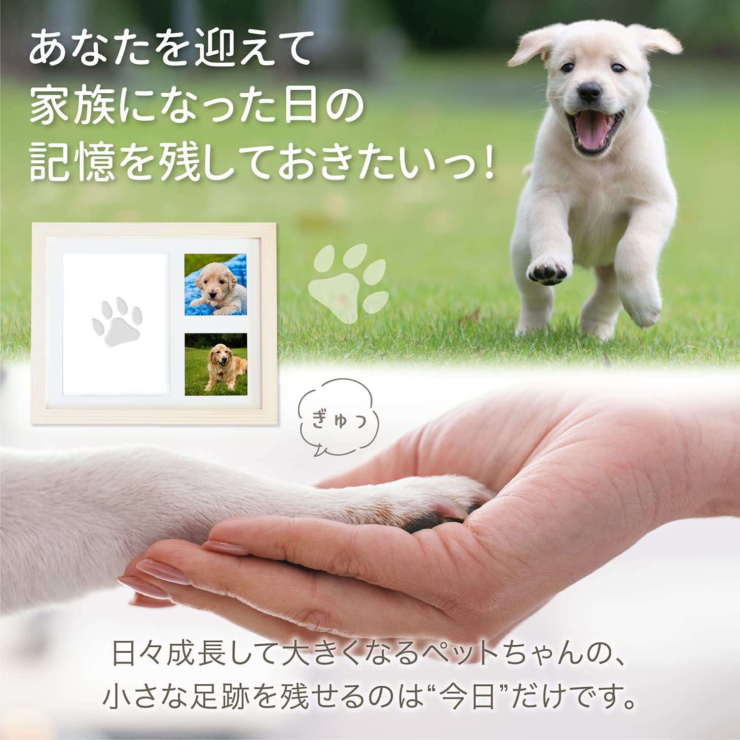 Amazon.co.jp: THEN メモリアル肉球フォトフレーム 犬 猫 お誕生日やお