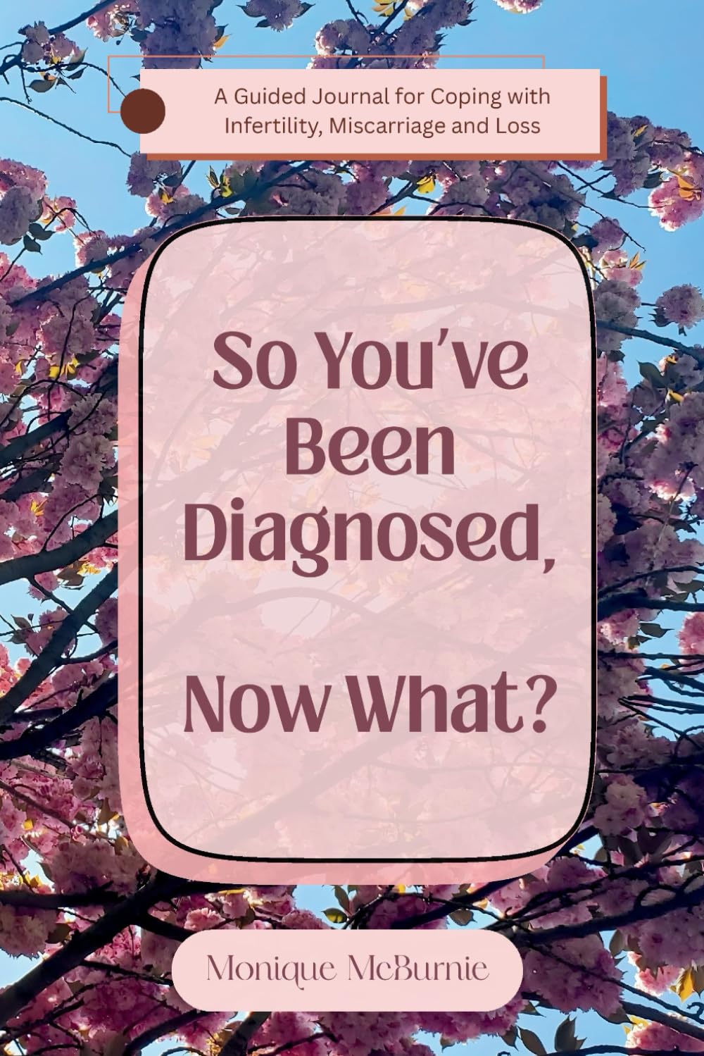 So You've Been Diagnosed, Now What?: A Guided Journal for Coping with Infertility, Miscarriage and Loss