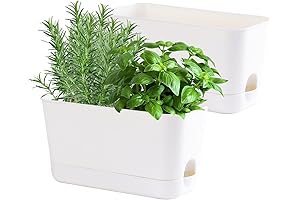 Herb Garden Planter Indoor Kit: Self-Watering Pots for Indoor Plants