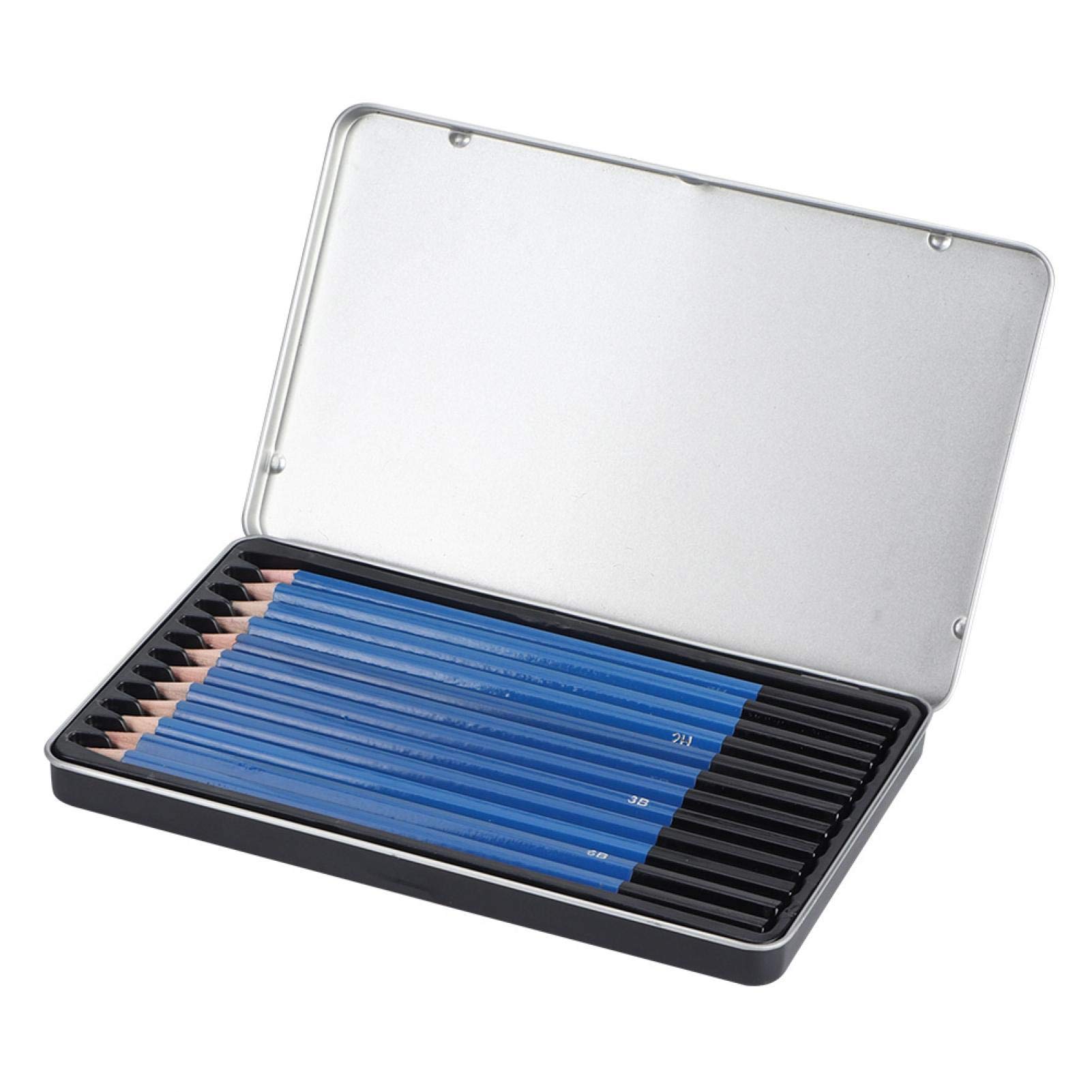 Set di Matite per Schizzi da Disegno Professionale da 12 Pezzi, Matite in Grafite con Scatola di Ferro (B, 2B, 3B, 4B, 5B, 6B, 8B, HB, 2H, 3H, 4H, 5H