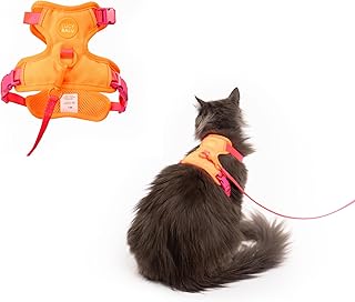 LucyBalu® Explorer Katzengeschirr mit Leine | ausbruchsicheres Katzengeschirr mit AirTag Fach | Katzen Brustgeschirr mit Katzenleine | Sicherheitsgeschirr mit Leine für Katzen | Berry Orange M/L product image