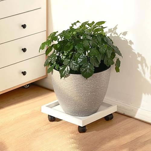 Miniatura 7 de 4 paquetes de 12 pulgadas cuadrados para plantas con ruedas, soporte rodante para plantas en maceta, carrito de plantas resistente con ruedas para