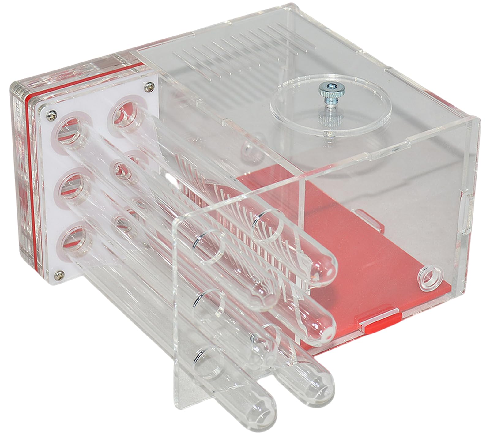 アリの巣観察キット(完成) Amazon.co.jp: PpzhenN アリの巣 アリの巣観察キットアリ飼育キット6