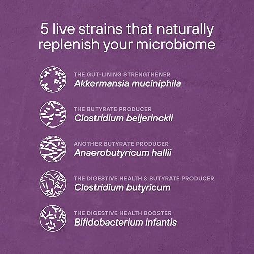 Miniatura 5 de Suplemento probiótico diario metabólico con Akkermansia Muciniphila - Contribuye al metabolismo y los niveles de energía - Adecuado para mujeres y