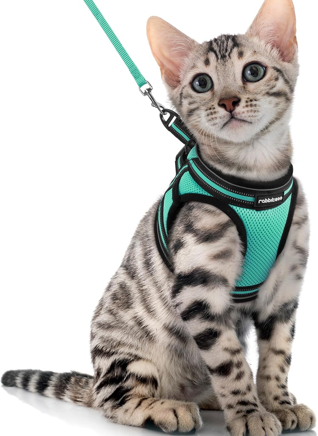 rabbitgoo Cat Harness and Leash Set for Walking Escape Proof, Adjustable Soft Kittens Vest with Reflective Strip for Cats, Comfortable Outdoor Vest, Green, XL X-Large Green
