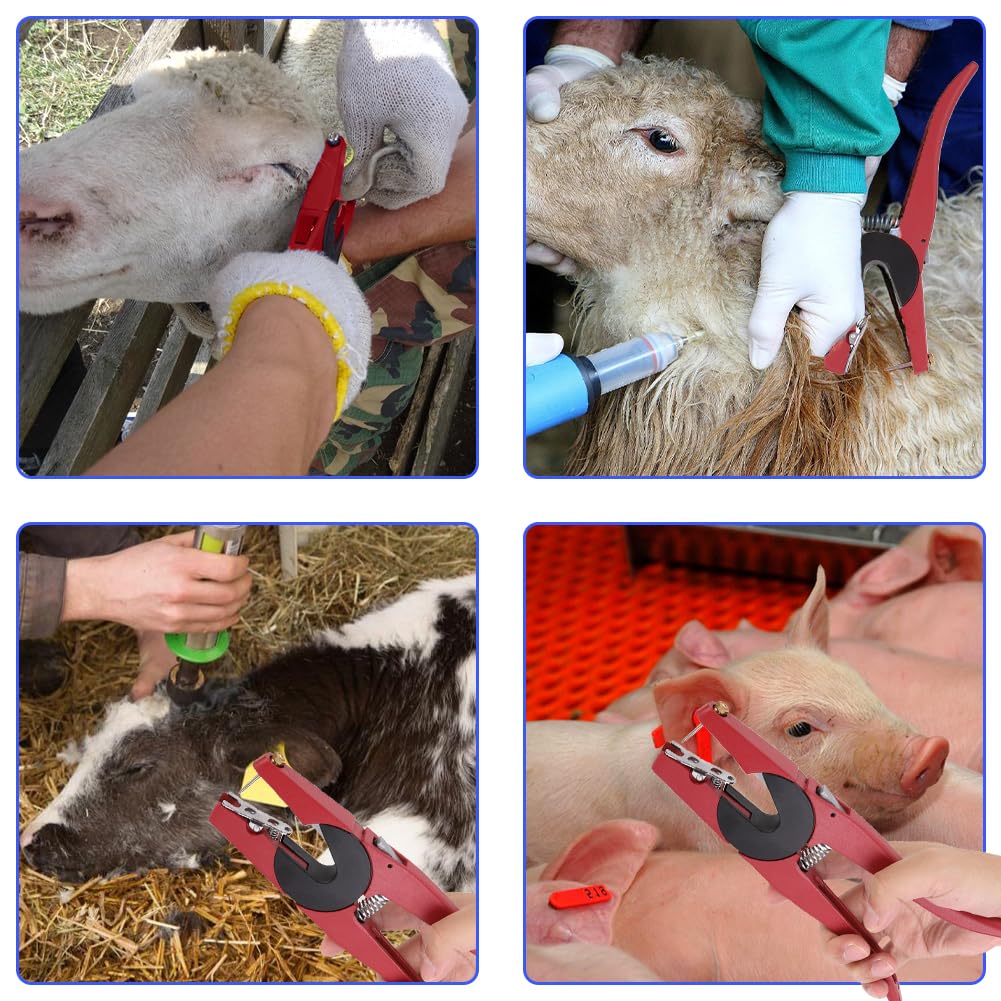 Vieh Ohrmarken Zange, Degrees Metall Ohrmarken Tierwerkzeug Applikator Tier Ohrmarken Installationswerkzeug für Schweine, Kühe, Vieh, Schafe, Ziegen, Rinder