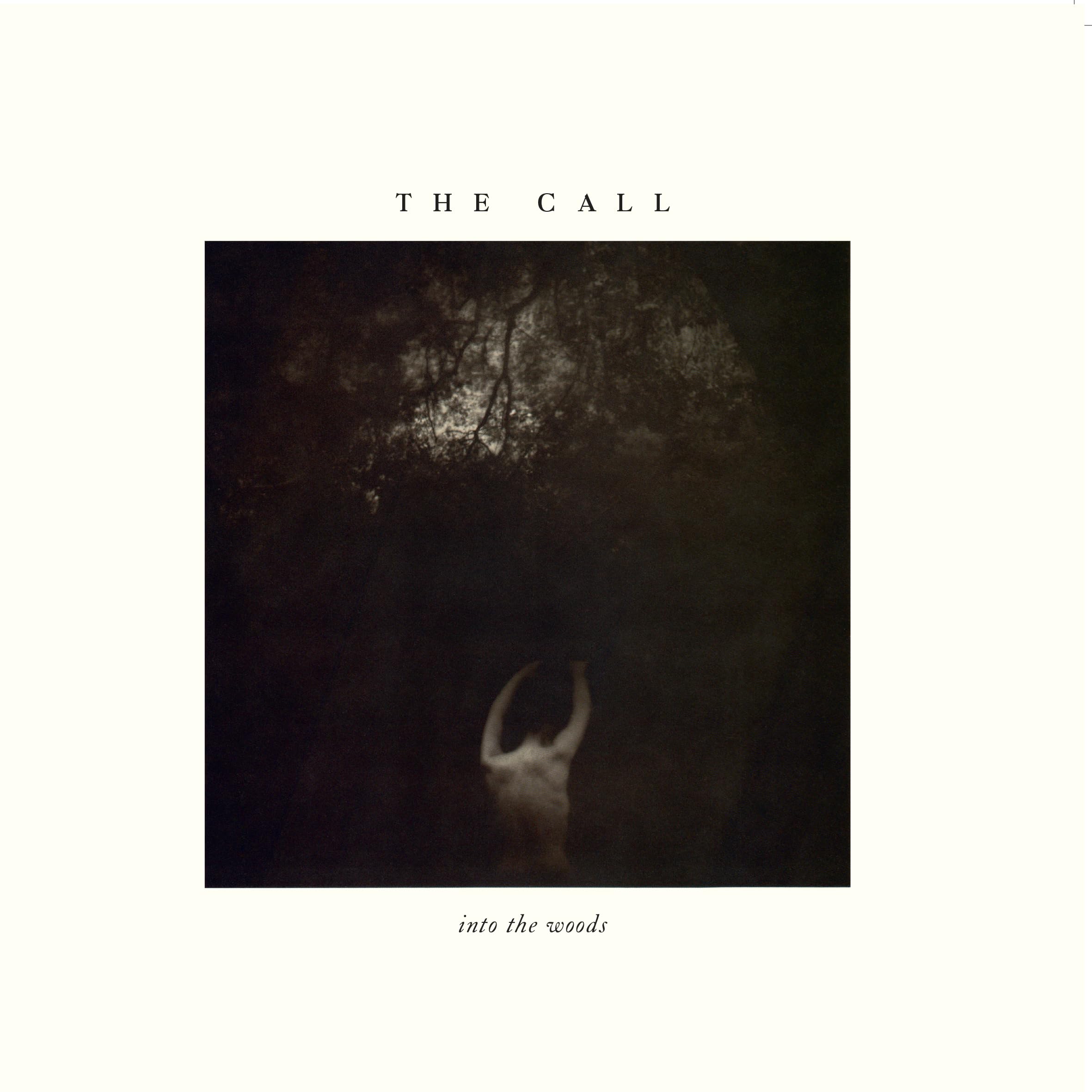 Into The Woods [VINYL]