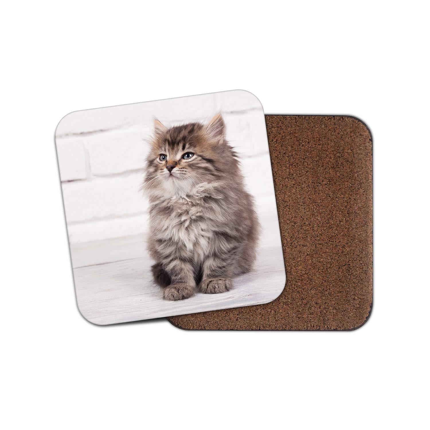 Destination Vinyl Ltd Multicolor 1 X Cute Fluffy Kitten Coaster - Cat Maine Coon Animals Pets Funny #15925