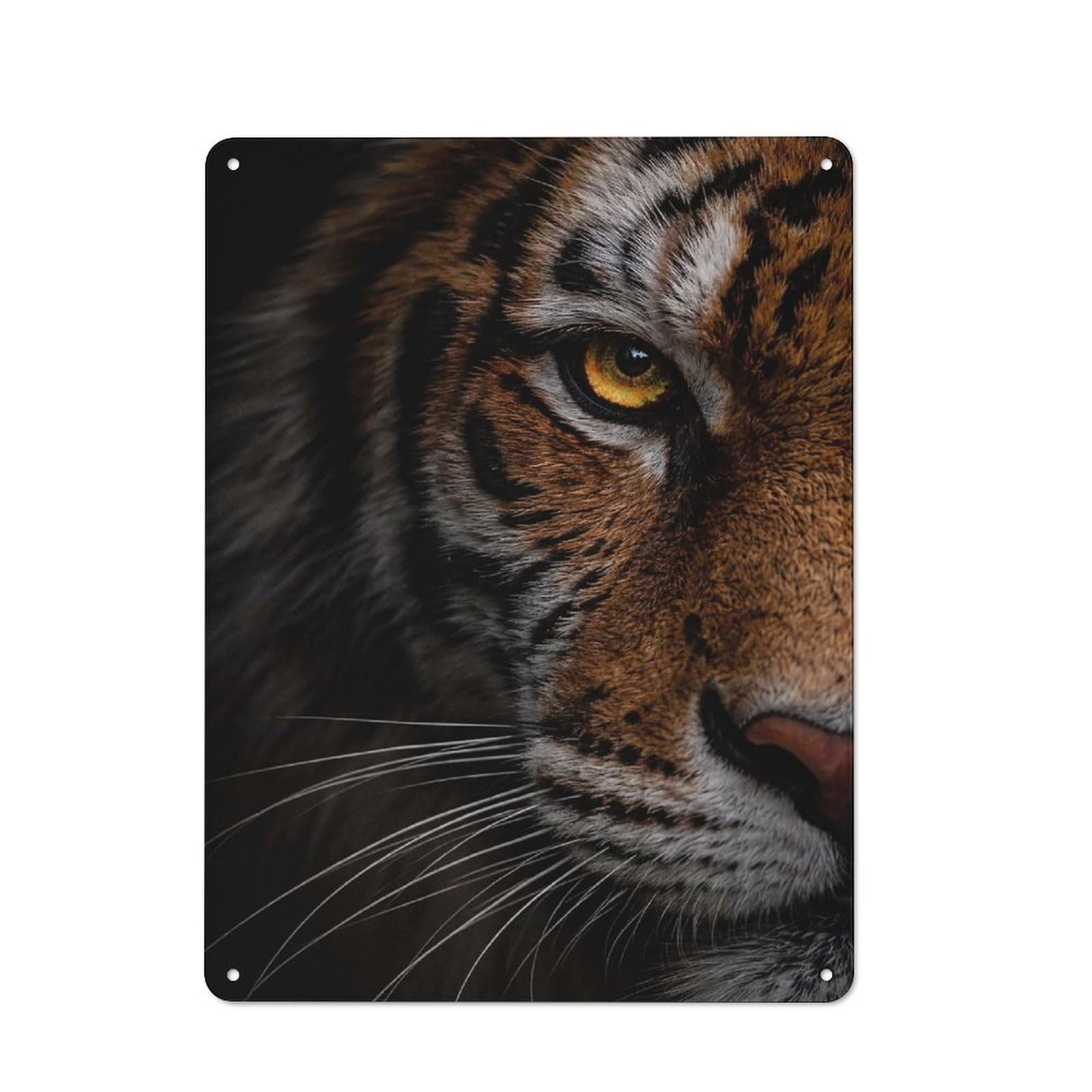 Junmoney Style-15 Garage Style Close-Up Of A Tigers Eye Retro Metal Sign 40X30cm, Workshop Wall Decor For Workshop, Basement, Shed Or Games Room