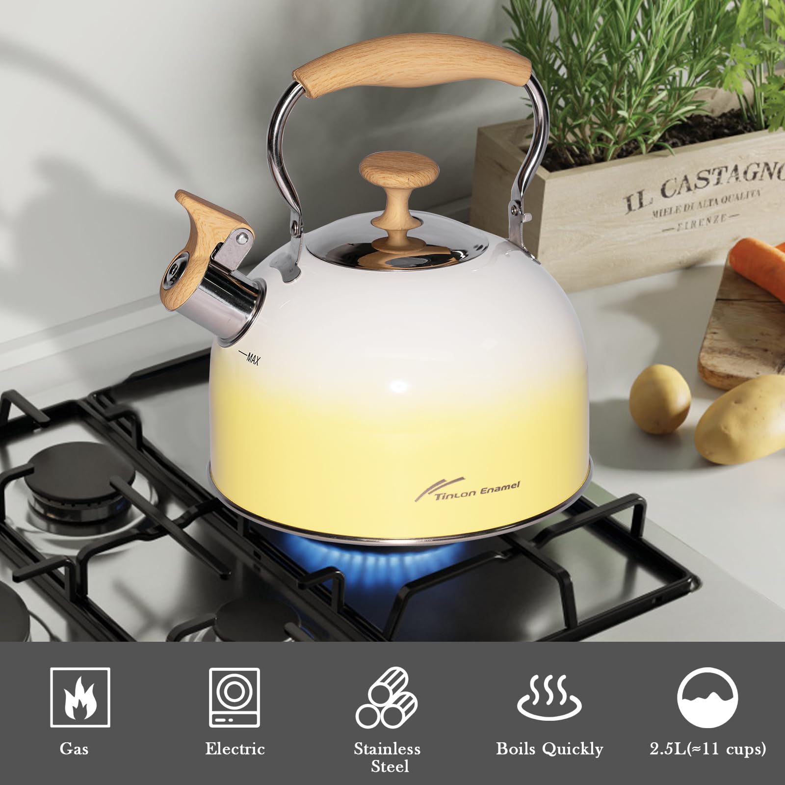 Tetera silbante de acero inoxidable 304 – Tetera con tapa de estufa de 3.0 L