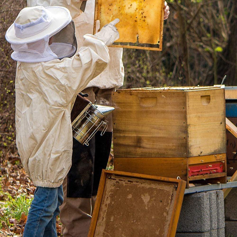 Gants d'Apiculture - Protection et Confort - API Distribution