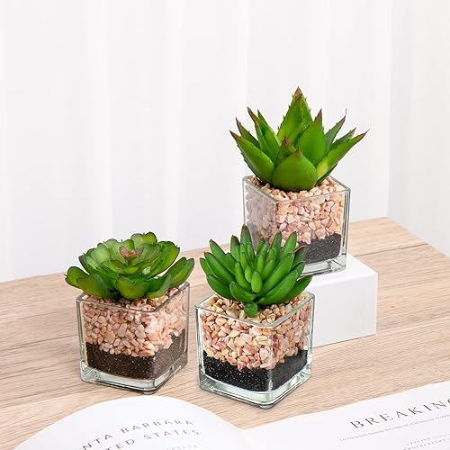Miniatura 5 de Briful 3 suculentas falsas para decoración de bandejas escalonadas de granja, plantas artificiales en maceta más pequeñas, plantas de imitación,