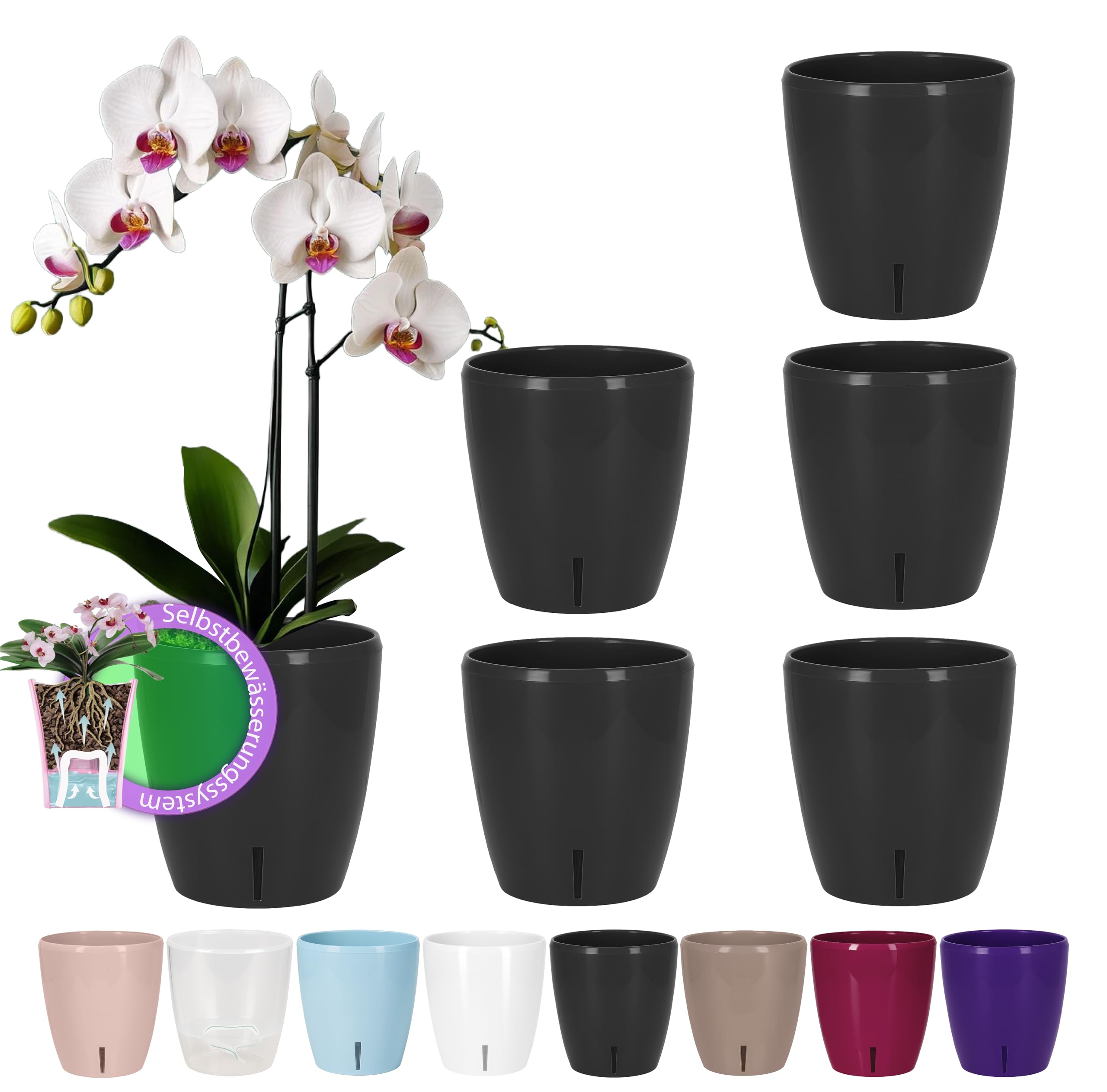 Santino Maceta para Orquídeas Ø 12cm Maceta Autorriego con Sistema de Mecha e Indicador de Nivel de Agua para Interior (Ø 12cm - 1,3L - Transparente) — view 13