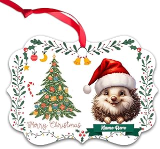 Dinoz Merry Christmas Hedgehog Animal Tree Ornament, Watercolor Animal Décor Tree Decor Hanging Keepsake Gifts Aluminum Ceramic Ornament Personalized Name