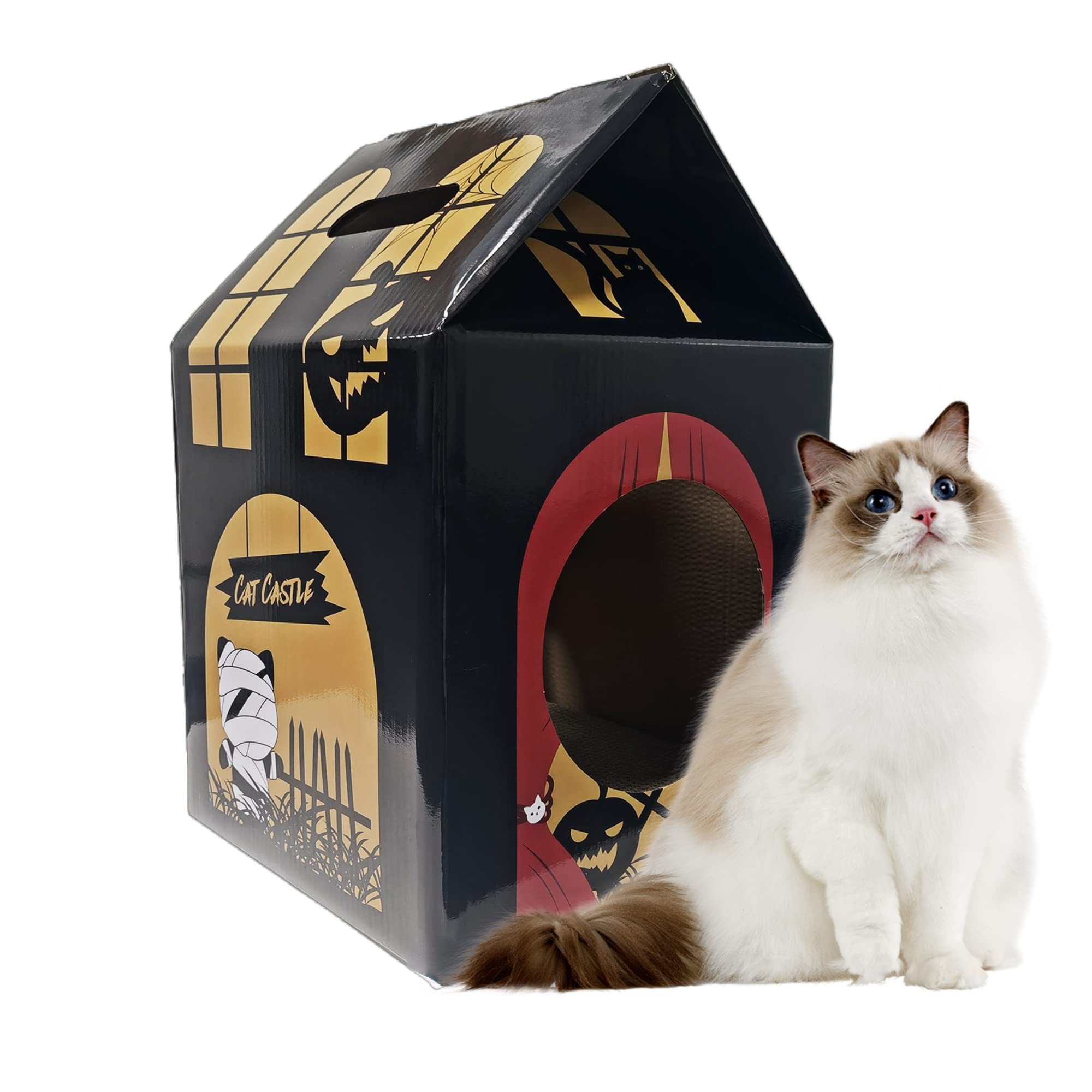 Cardboard Cat Haunted House