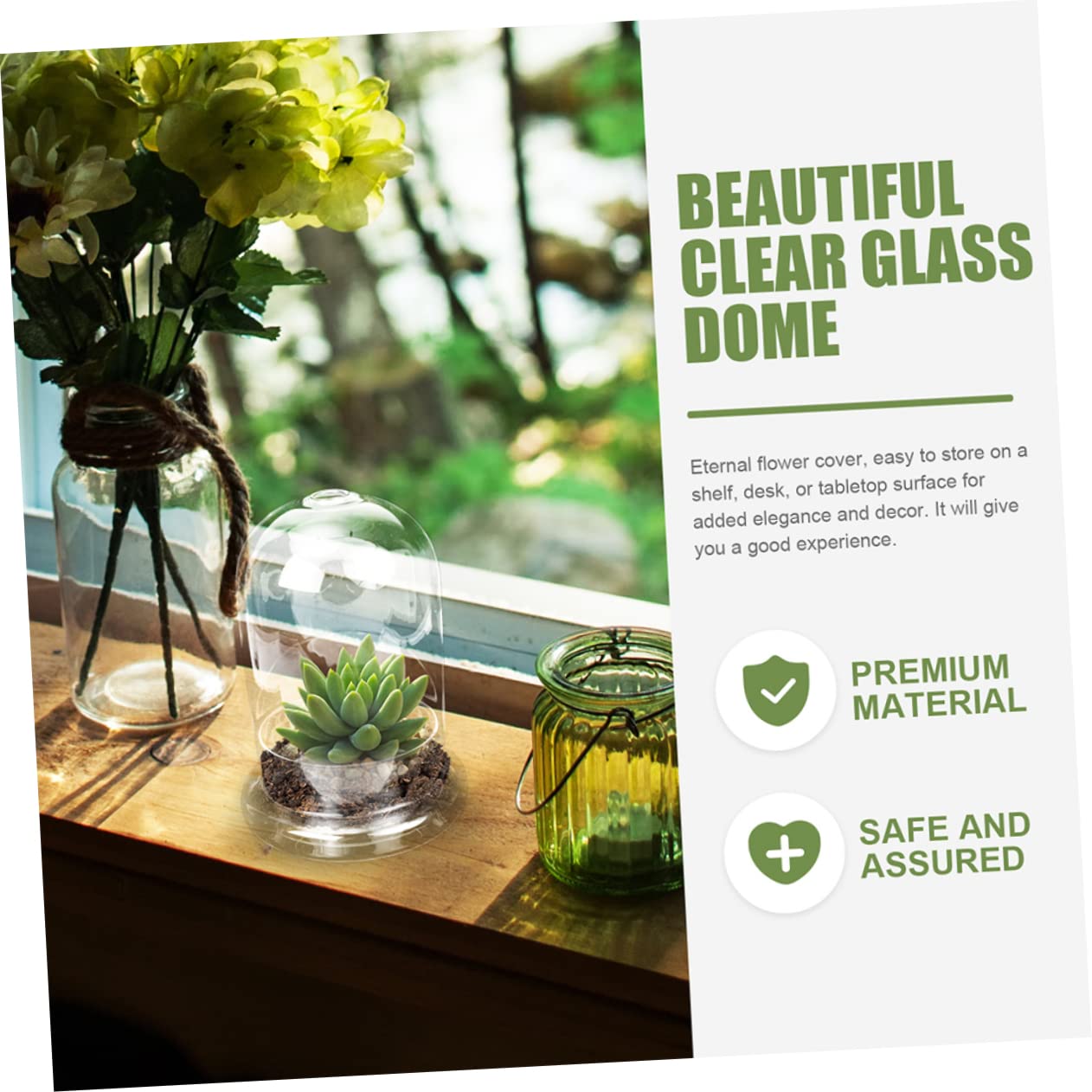 BESTonZON Vaso Terrario Bottiglia in Vetro Ecologica Per Micro Paesaggi Coltivazione Di Piante Di Muschio Contenitore Decorativo Per Paesaggi Fai Da Te