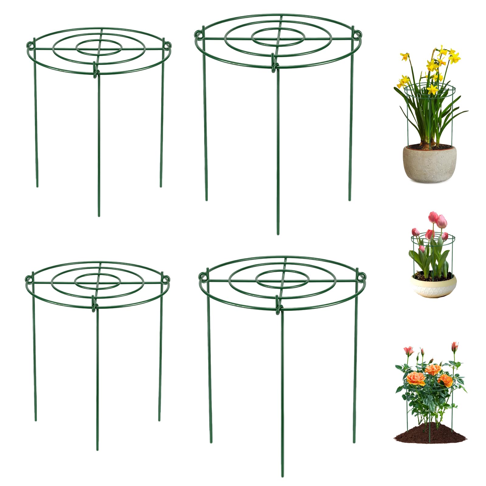 Support pour plantes en métal pour redresser les tiges lourdes