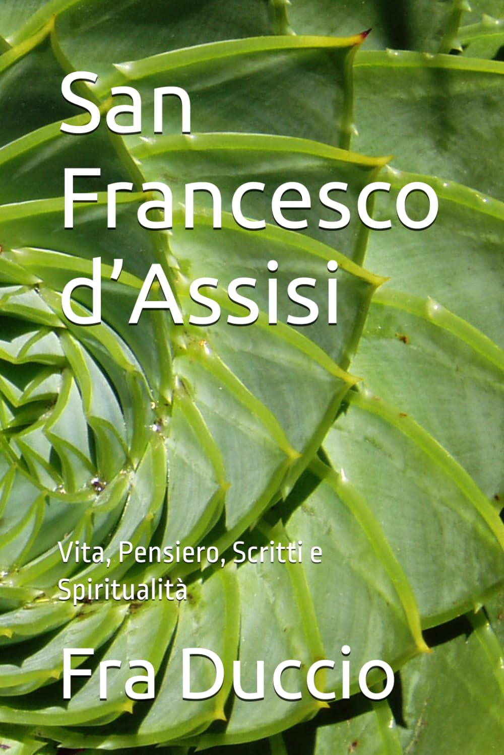 San Francesco d’Assisi: Vita, Pensiero, Scritti e Spiritualità