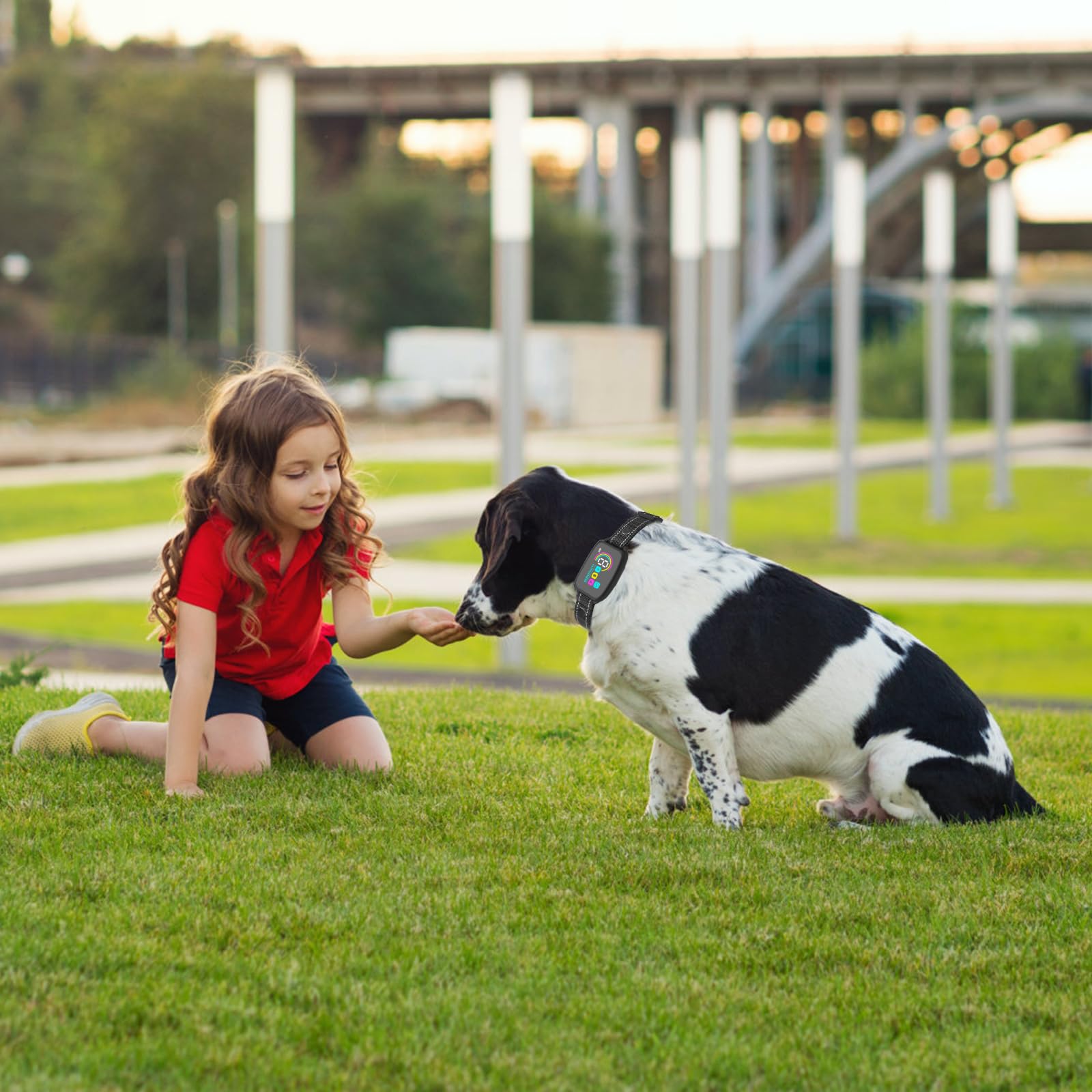 Collare Antiabbaio Per Cani, 8 Modalità Livelli di Sensibilità, Collare Anti Abbaio Ricaricabile, Modalità Suono/Vibrazione Forte, Impermeabile IP67, Per Cani Piccoli e Grandi (Nero)