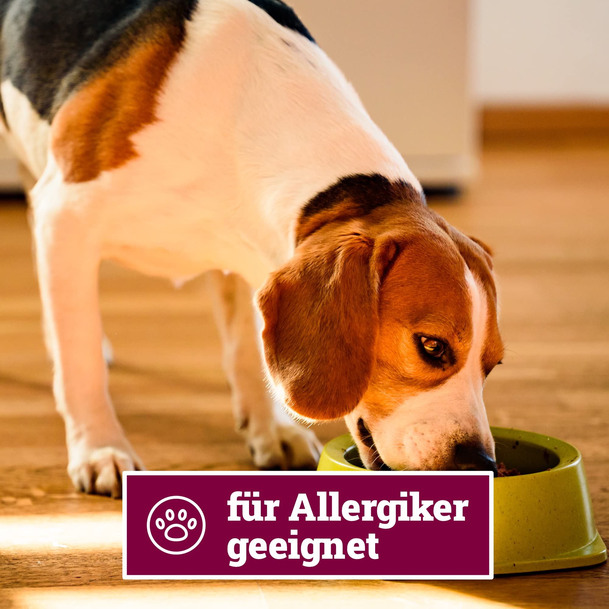 Herrmann´s Manufaktur Ziege für Sensible Hunde - Hundefutter nass mit rote Beete und Hirse - Alleinfuttermittel für Hunde - Gute Verträglichkeit - glutenfrei laktosefrei (6 x 800 g Dose)