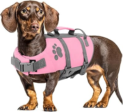 Queenmore Large Dog Life Jacket, Dog Life Vest for Swimming, Floating Life Vest for Large Breed with Handle, Vibrant Doggie Life Jacket for Boating with Hook, Pet Water Vest for Big Dogs